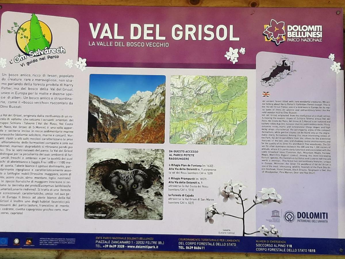 Kalipe Dolomiti Leilighet Soffranco Eksteriør bilde